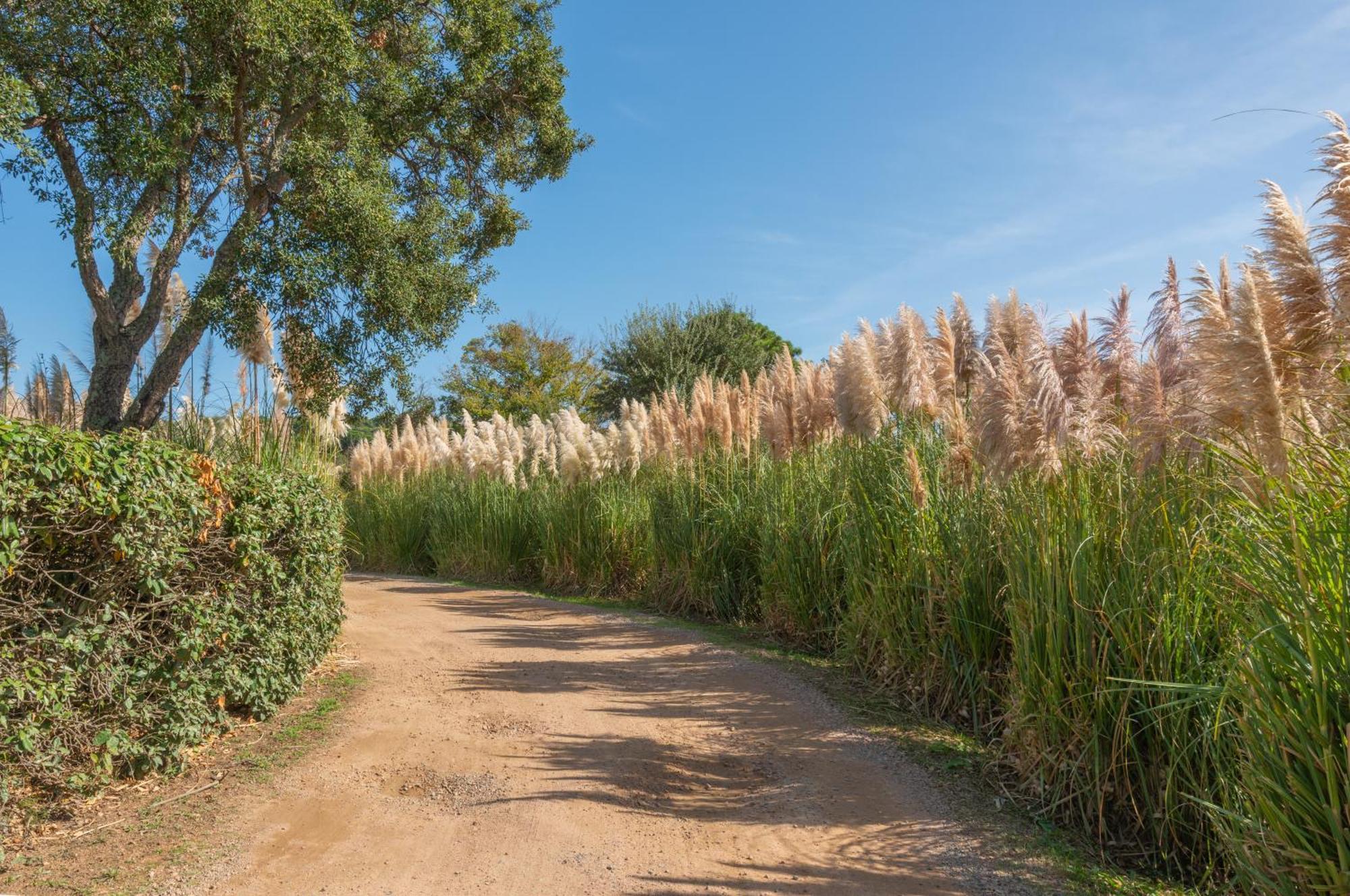 Residence Domaine De Caranella Porto-Vecchio  Dış mekan fotoğraf